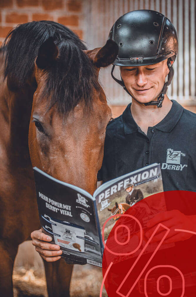 derby pferd frisst pferdefutter